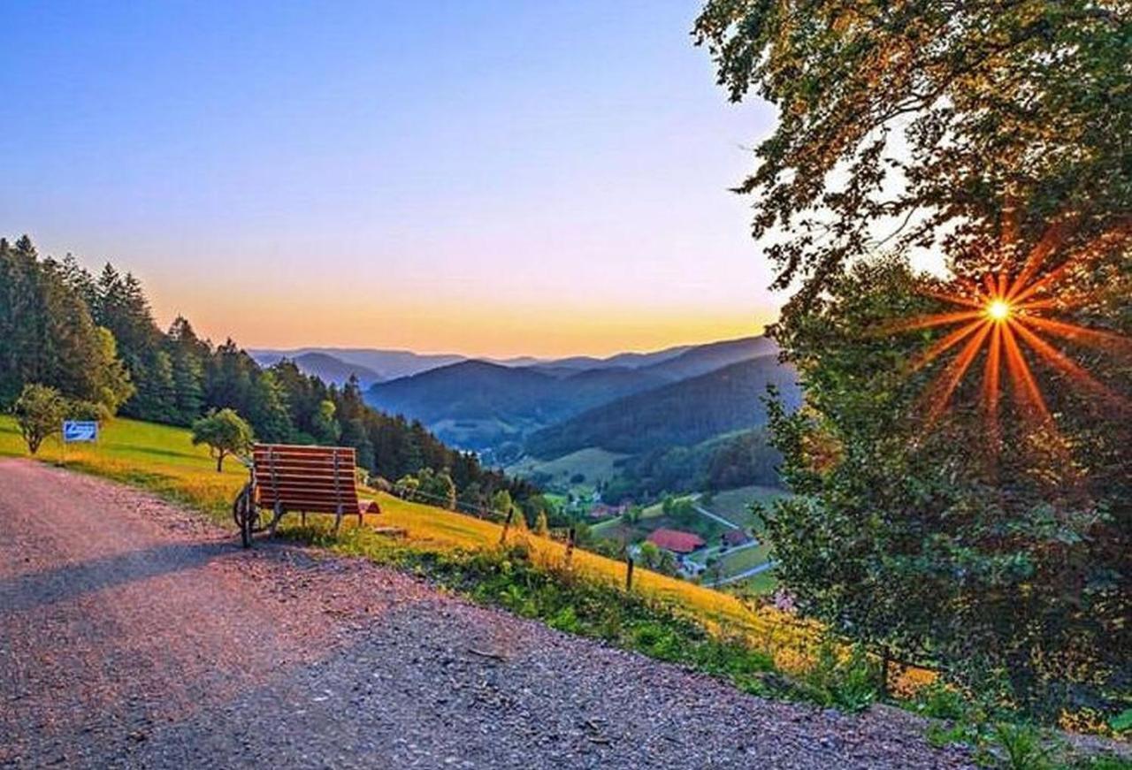 Ferienhaus Wendelinus Mit Pool & Sauna Hausach Bagian luar foto