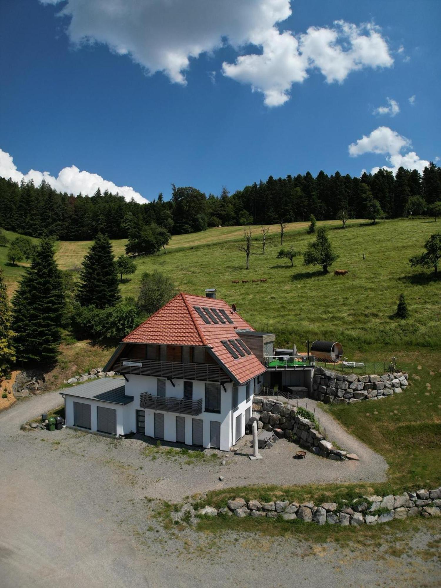 Ferienhaus Wendelinus Mit Pool & Sauna Hausach Bagian luar foto